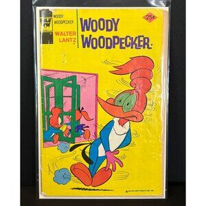 Woody Woodpecker #147 Comic Book 25¢ 1975 Vintage Walter Lantz Knothead Splinter